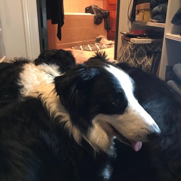 Meet your Posher, Janice - Picture 6 of 8